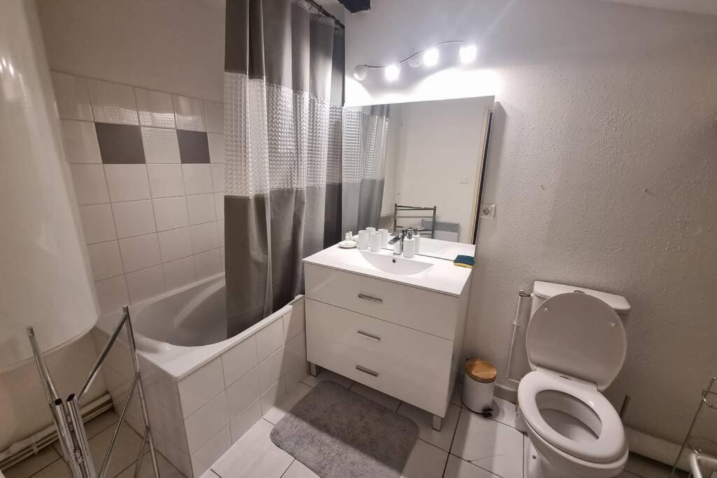 Appartement Exceptionnel 4 Etoiles Hyper Centre Albi 65 M2 Au 4Eme Etage Sans Ascenseur Avec Une Tour Du 12Eme Siecle Exterior photo